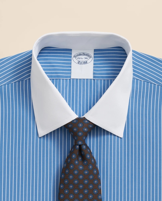 Pure Supima Cotton Regular-Finish Ainsley Collar, Ground Stripe Dress Shirt