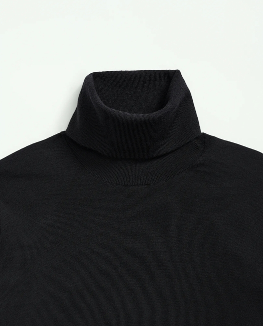 Ultimate Merino Wool Turtleneck Sweater