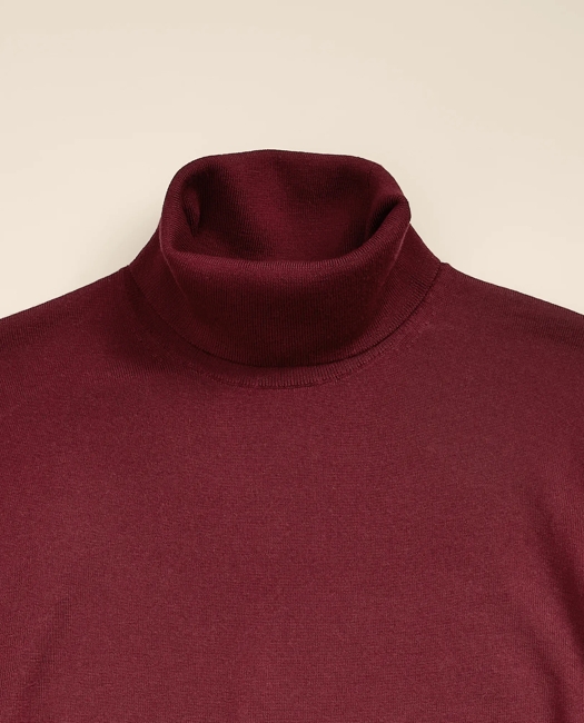 Ultimate Merino Wool Turtleneck Sweater