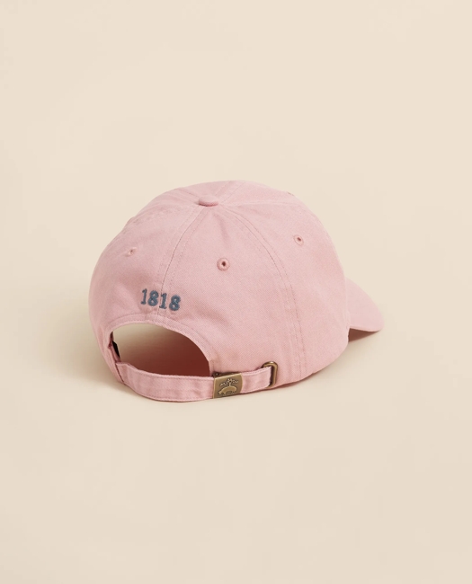 Golden Fleece Baseball Cap - Pink