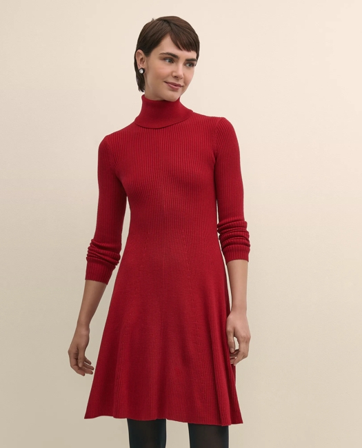 Merino Wool Turtleneck Dress