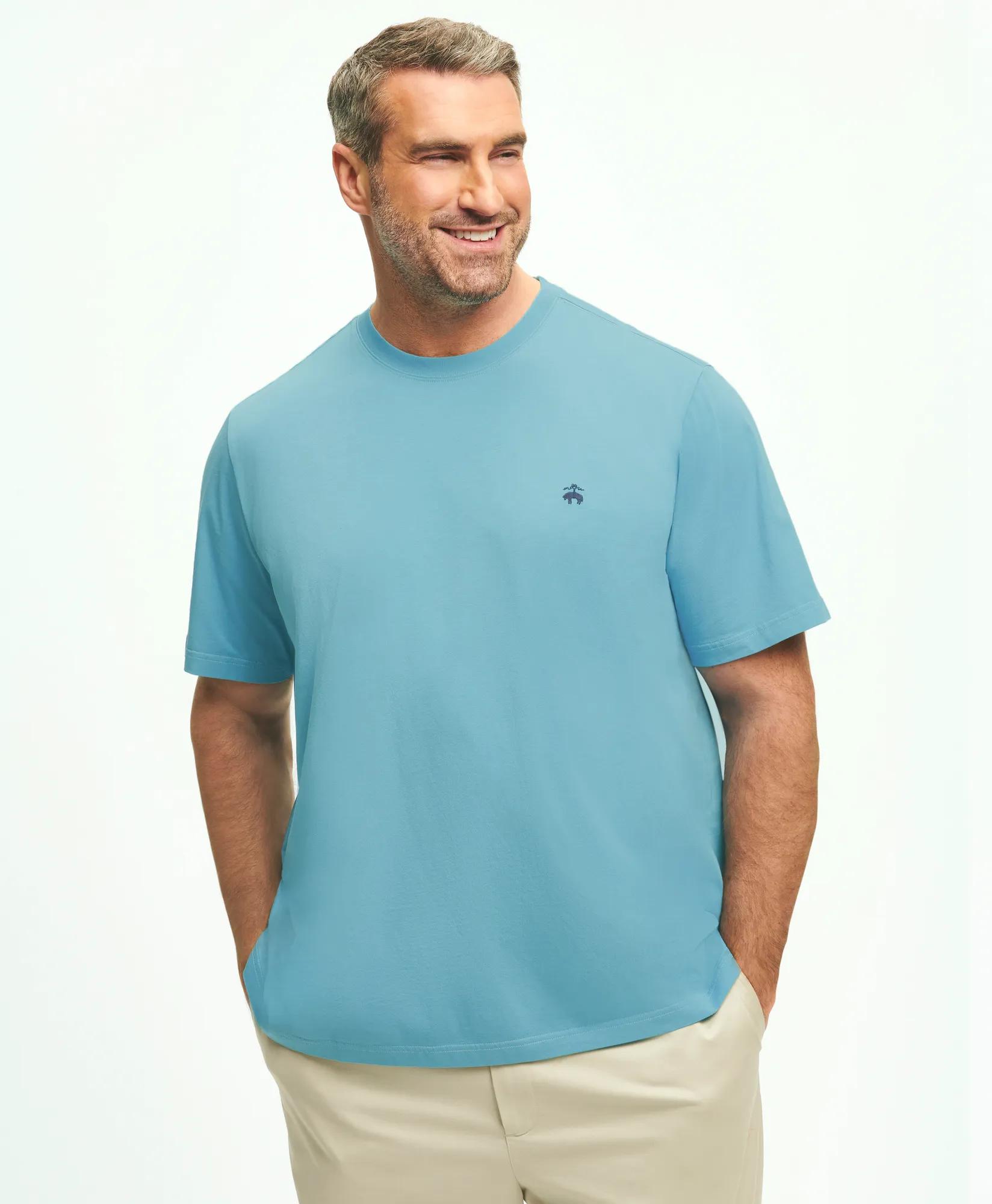 Big & Tall Supima Cotton T-Shirt - Blue