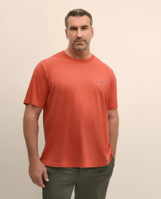 Big & Tall Supima Cotton T-Shirt