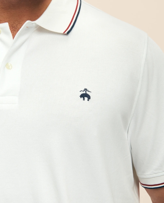 Big & Tall Golden Fleece Supima Tipped Polo Shirt