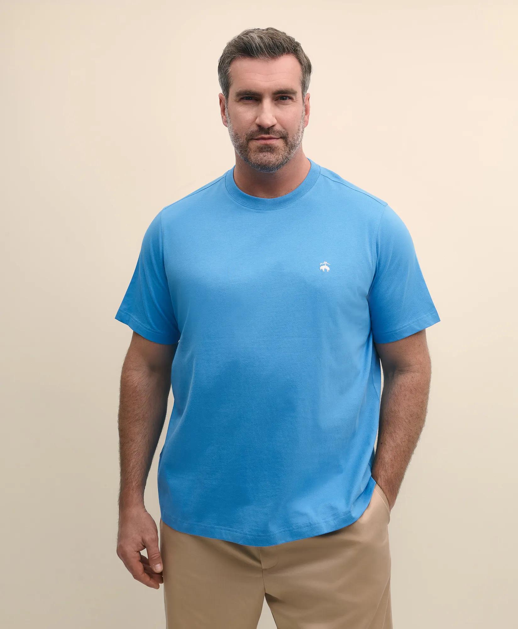 Big & Tall Cotton Jersey T-Shirt