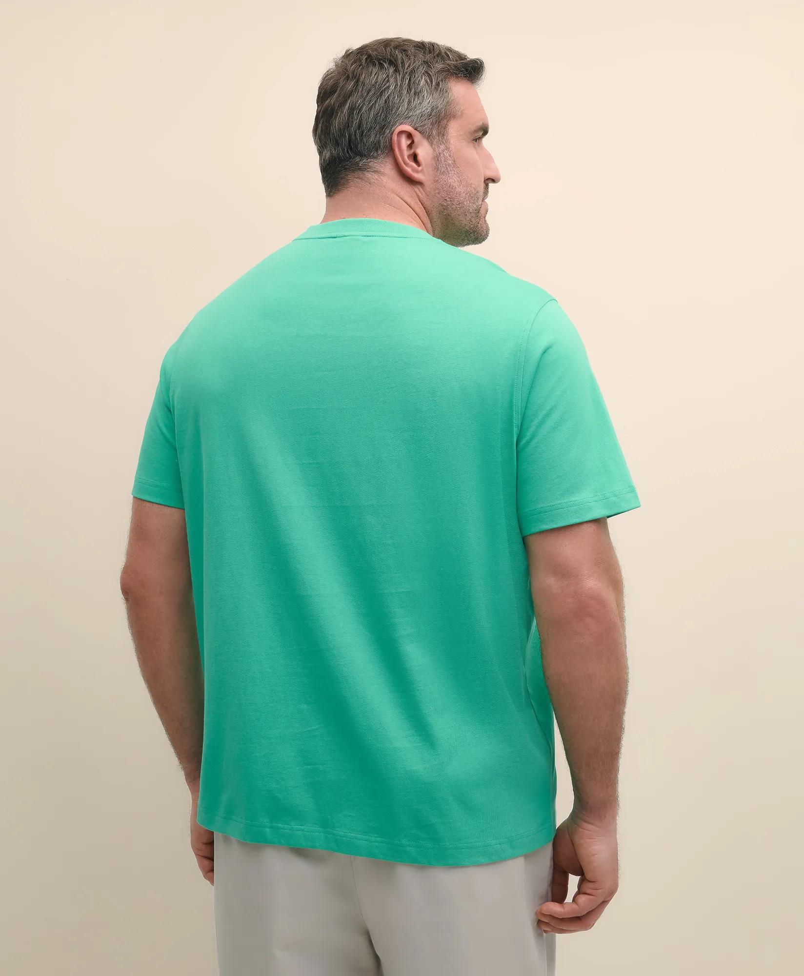 Big & Tall Cotton Jersey T-Shirt