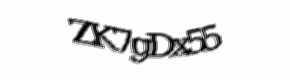 Security check image, please type the characters shown