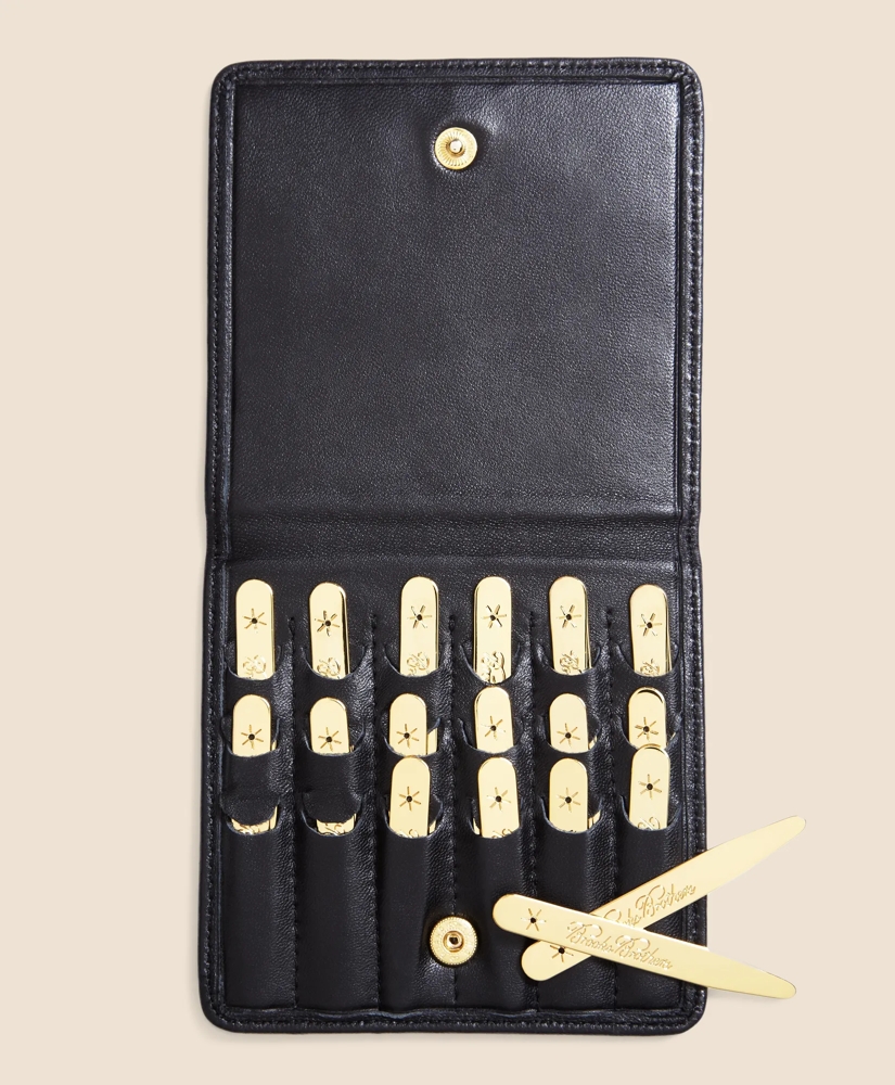 Metallic Collar Stays with Nappa Leather Case, image 3
