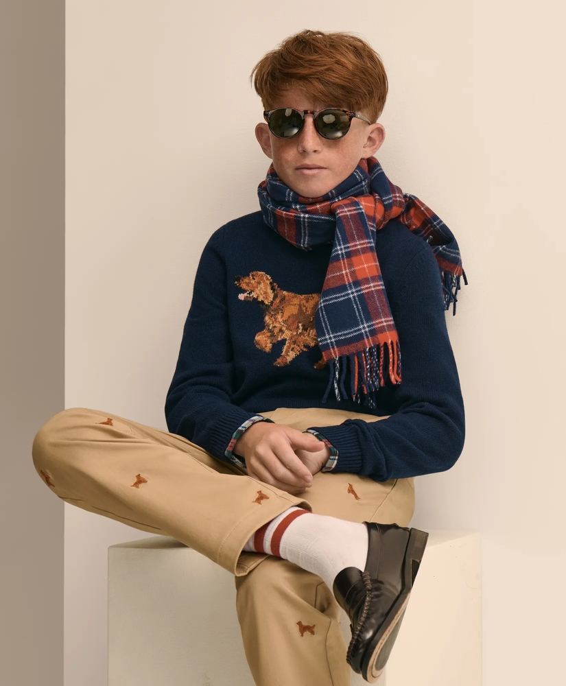 Boys Cotton Twill Irish-Setter Embroidered Pants, image 5