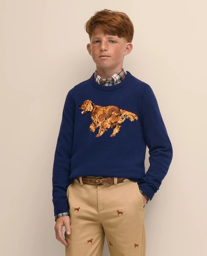 Boys Wool Blend Irish-Setter Intarsia Sweater, image 1