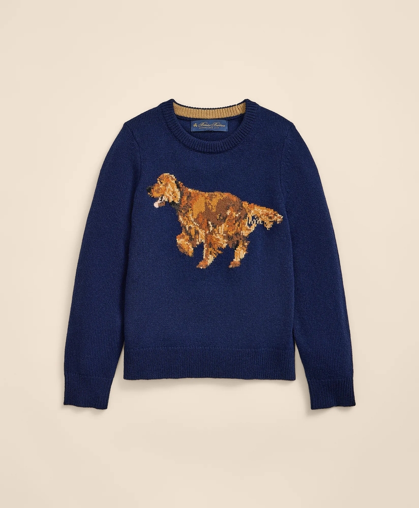 Boys Wool Blend Irish-Setter Intarsia Sweater, image 2