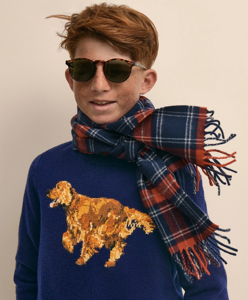 Boys Wool Blend Irish-Setter Intarsia Sweater, image 5