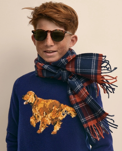 Boys Wool Blend Irish-Setter Intarsia Sweater, image 5