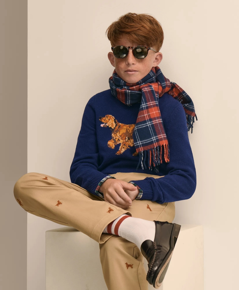 Boys Wool Blend Irish-Setter Intarsia Sweater, image 6