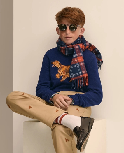Boys Wool Blend Irish-Setter Intarsia Sweater, image 6