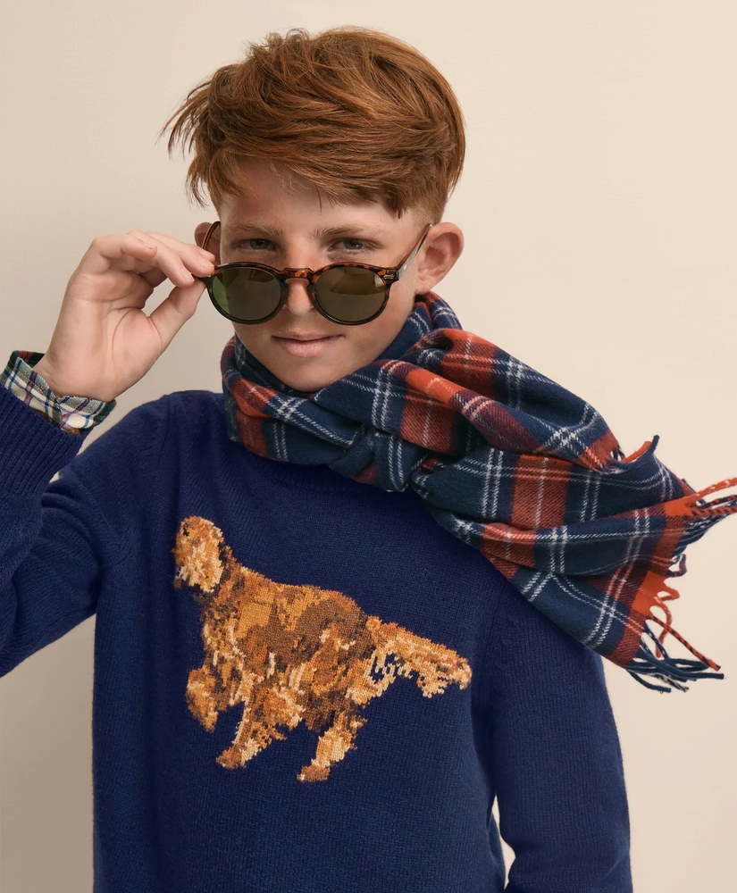 Boys Wool Blend Irish-Setter Intarsia Sweater, image 8