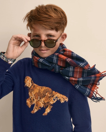 Boys Wool Blend Irish-Setter Intarsia Sweater, image 8