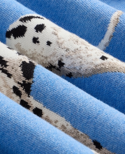Cotton Dalmatian Sweater, image 3