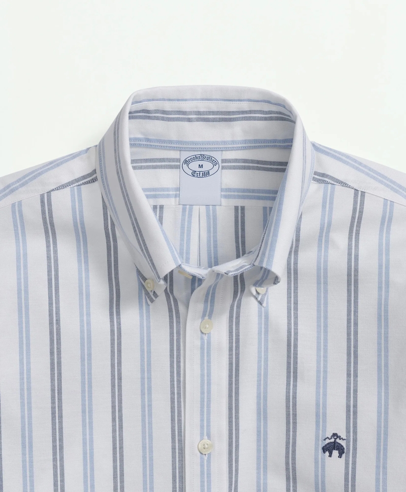 Stretch Non-Iron Oxford Polo Button Down Collar, Double
