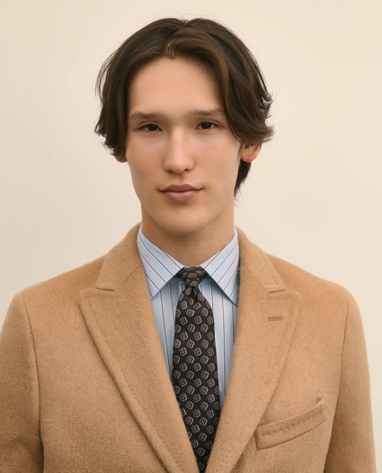 The Camel Hair Top Coat, image 3