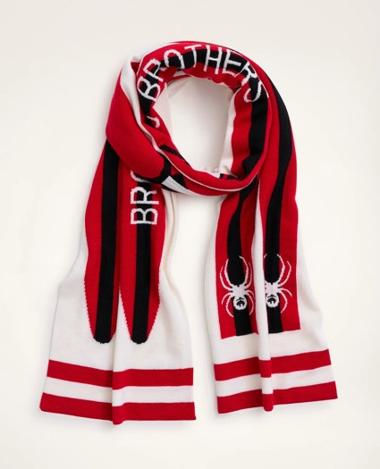 Brooks Brothers x SPYDER Ski Stripe Scarf, image 1
