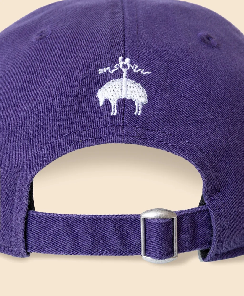 Brooks Brothers X New Era 9TWENTY Baseball Hat, image 4