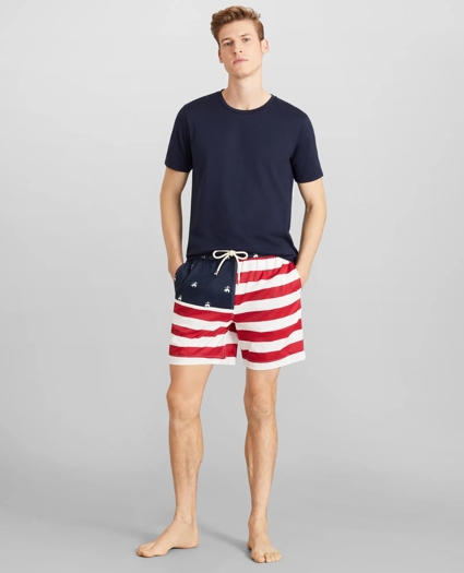 Montauk 6" Flag Print Swim Trunks, image 2
