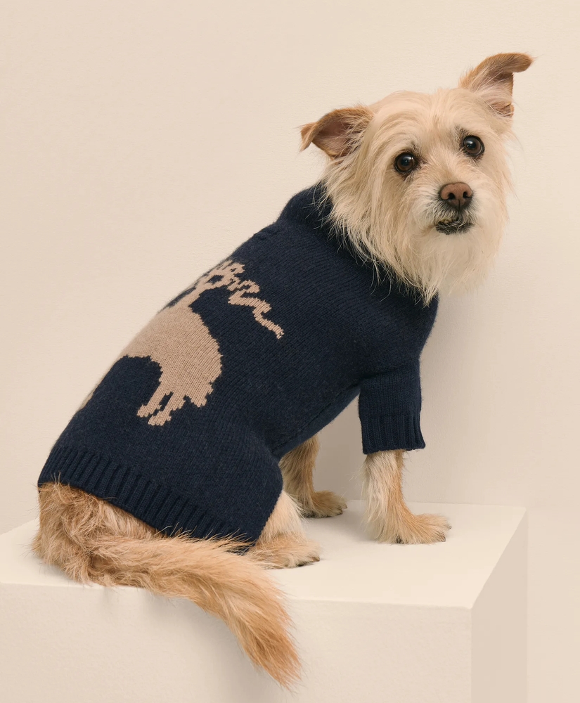 Cashmere Dog Sweater, image 3