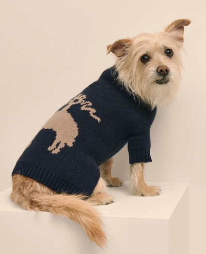 Cashmere Dog Sweater, image 3