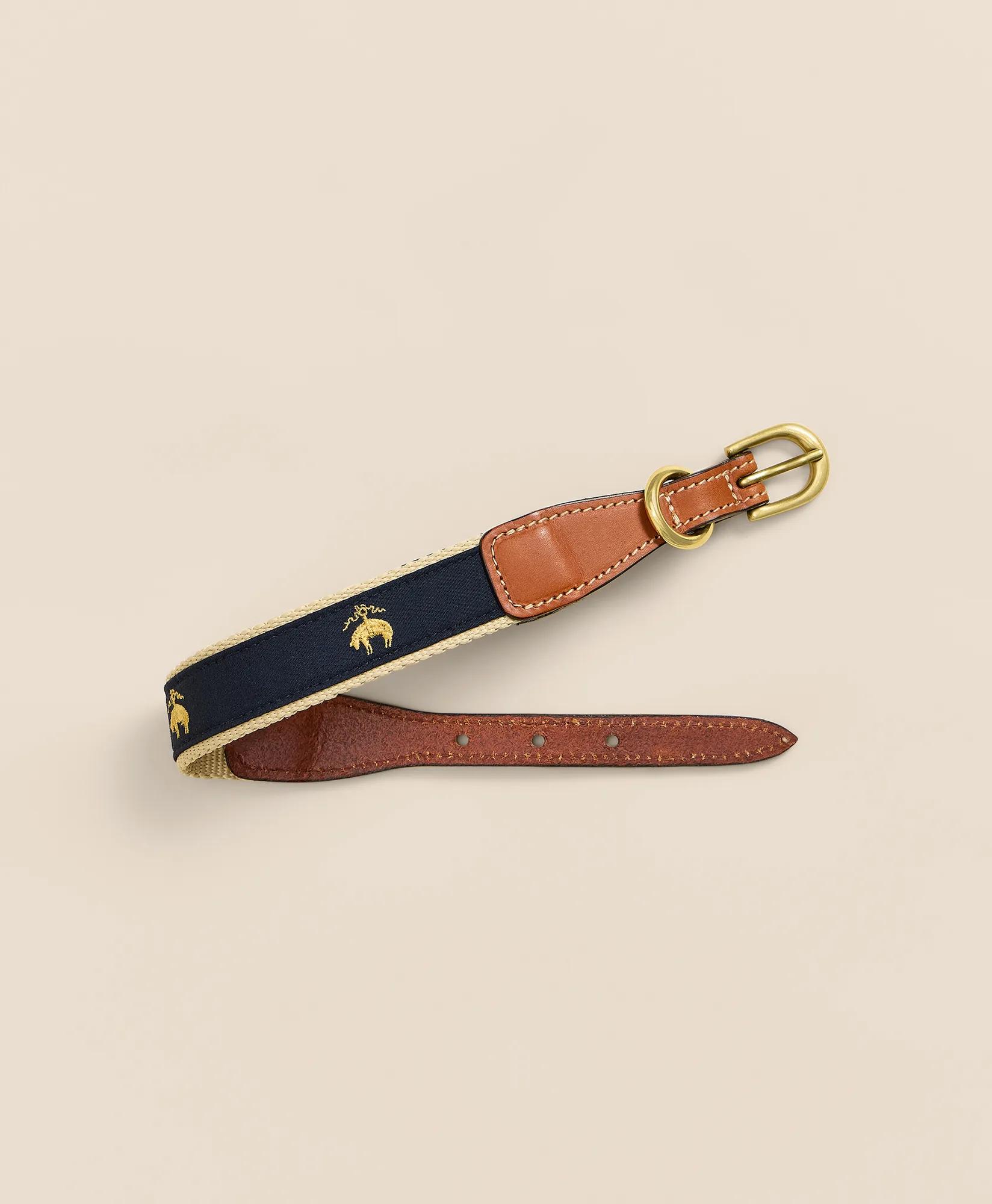 Cotton Webbed, Leather Trim Dog Collar, image 2