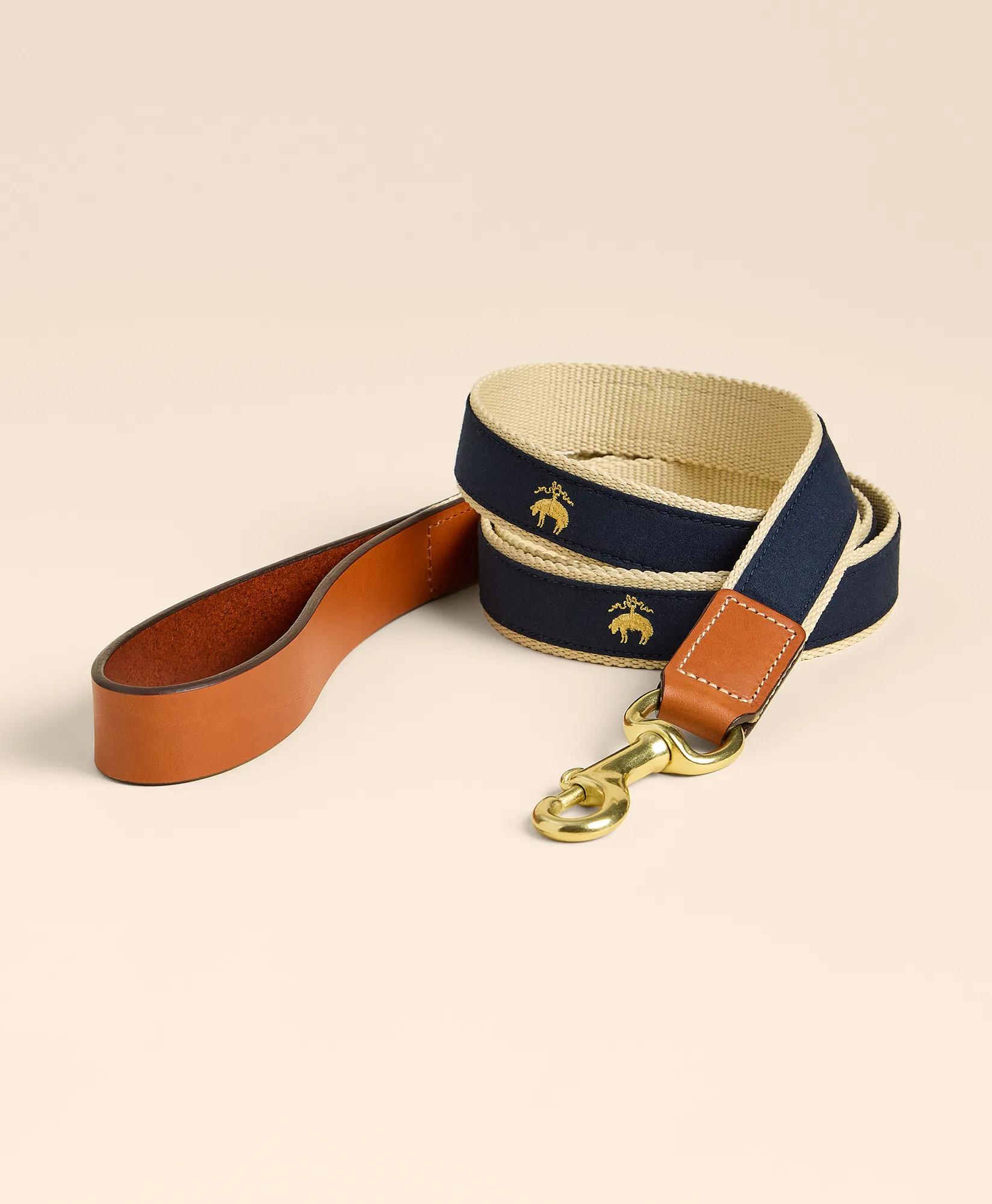 Cotton Webbed, Leather Trim Dog Leash, image 1