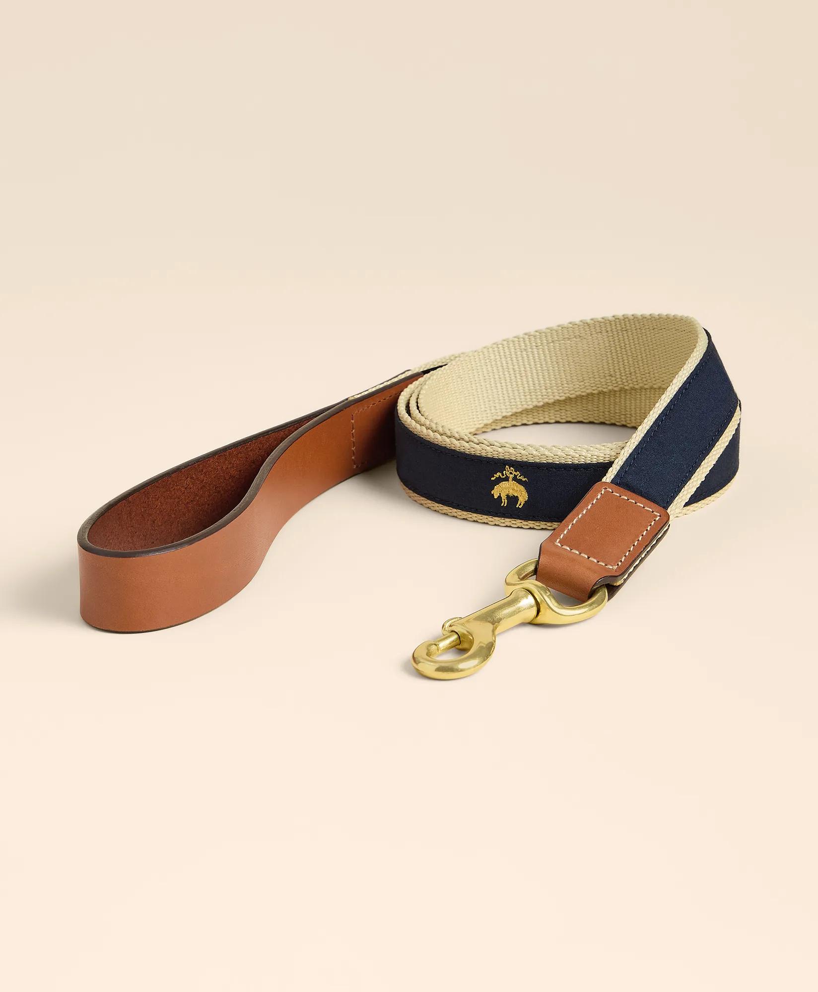 Cotton Webbed, Leather Trim Dog Leash, image 2