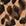 Beige Multi