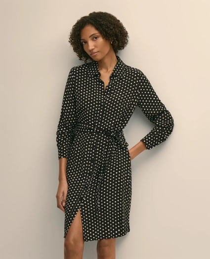 Belted Dot-Print Shirt Dress, image 1