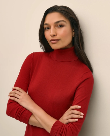 Ultimate Merino Wool Turtleneck, image 1