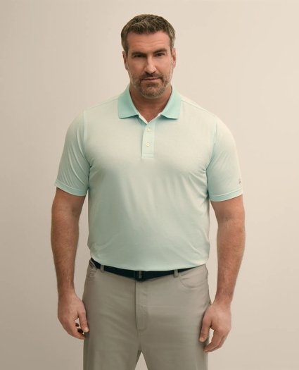 Performance Series Big & Tall Microstripe Polo Shirt, image 1